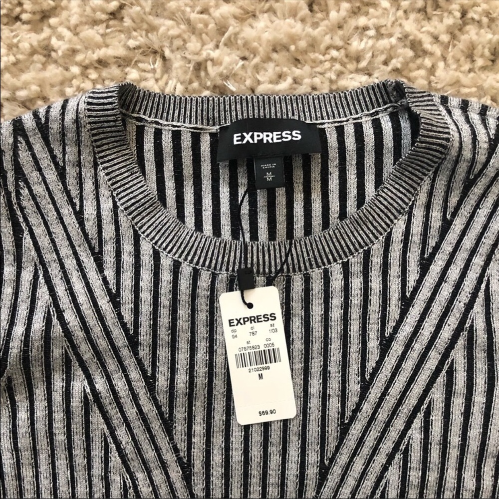 Express Striped Long Sleeve Sweater Dress - Picture 7 of 8